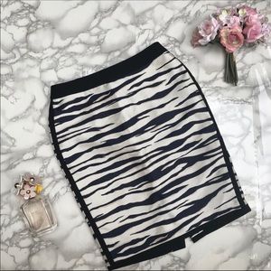 Ann Taylor Skirt